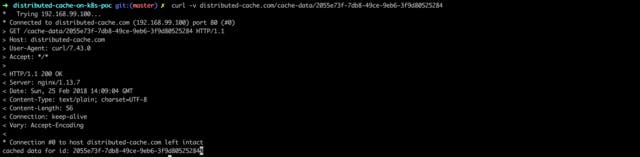 Distributed Cache